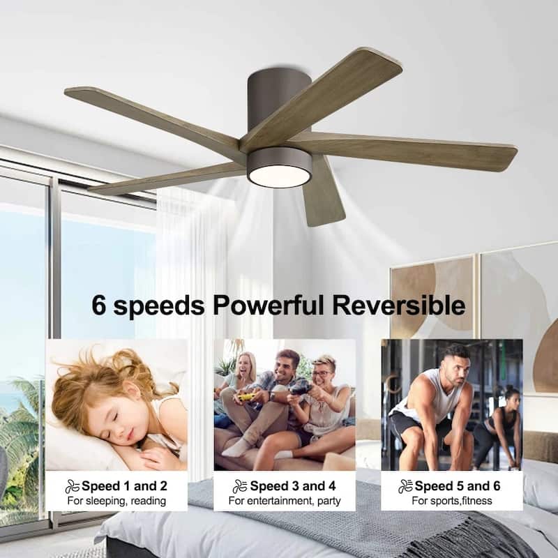 MLiAN 54" Solid Blades Indoor Flush Mount Ceiling Fan with Light Kit and Remote