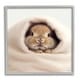 preview thumbnail 14 of 23, Stupell Baby Bunny in Blanket Framed Giclee Art Design by Roozbeh 12 x 12 - Grey
