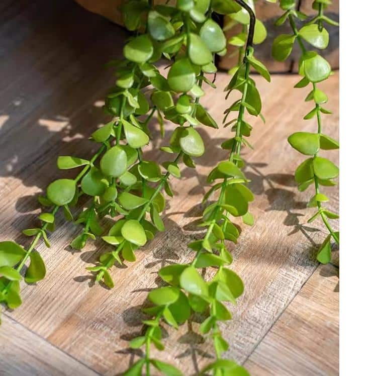 RusticReach Petite Foliage Weeping Fern Sprig