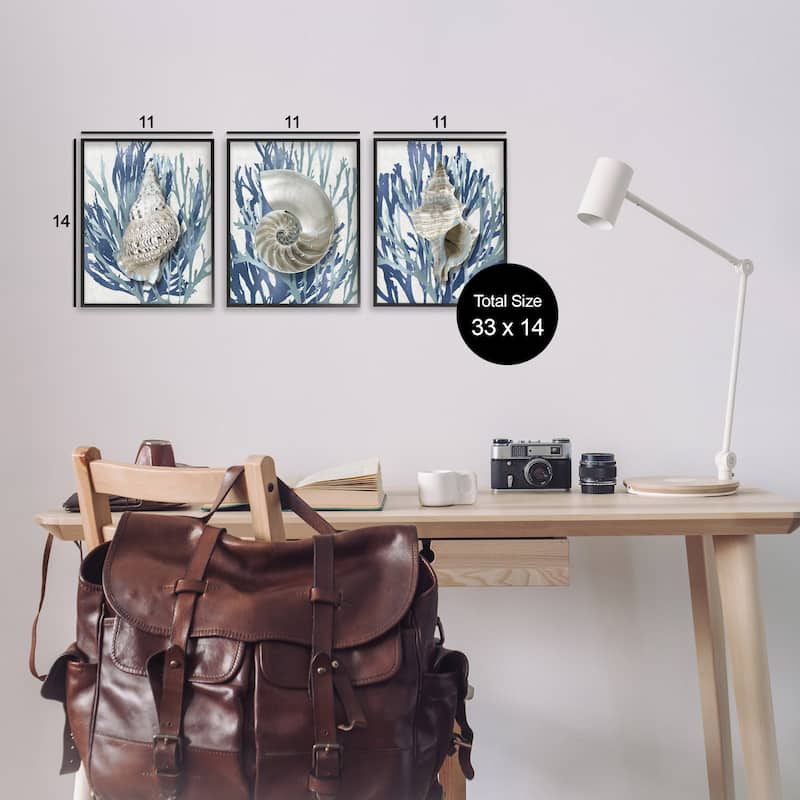 Stupell Trio of Shell Coral Blue Beach Design, 3pc Multi Piece Framed Wall Art Set
