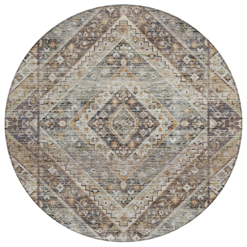 Machine Washable Indoor/Outdoor Traditional Ali Chantille Rug