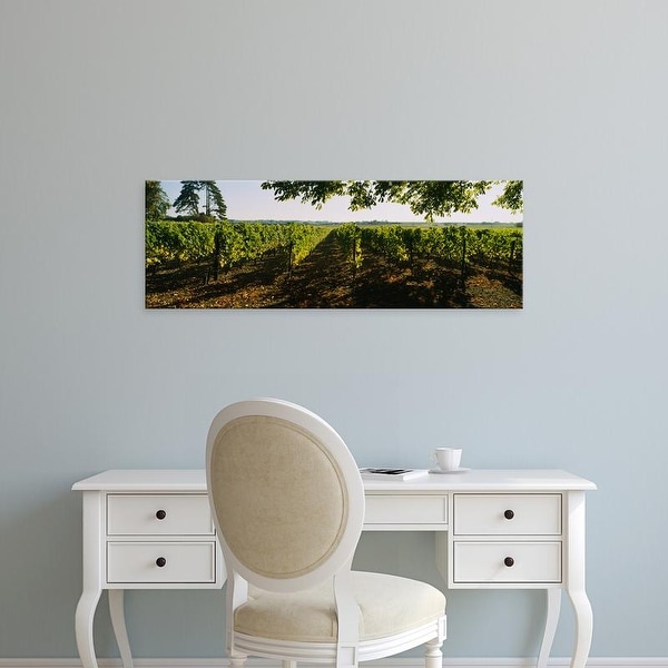Easy Art Prints Panoramic Images's 'Grape vines in a vineyard, Loire Valley, France' Premium Canvas Art