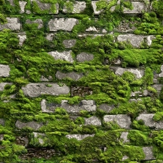 Galerie Wallcoverings Bricks and More Collection Mossy Stone Wall Matte Finish Vinyl on Non-woven Wallpaper Roll