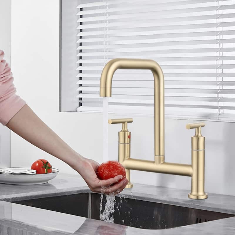 Dornberg Two Handles High Arc Bridge Kitchen Faucet