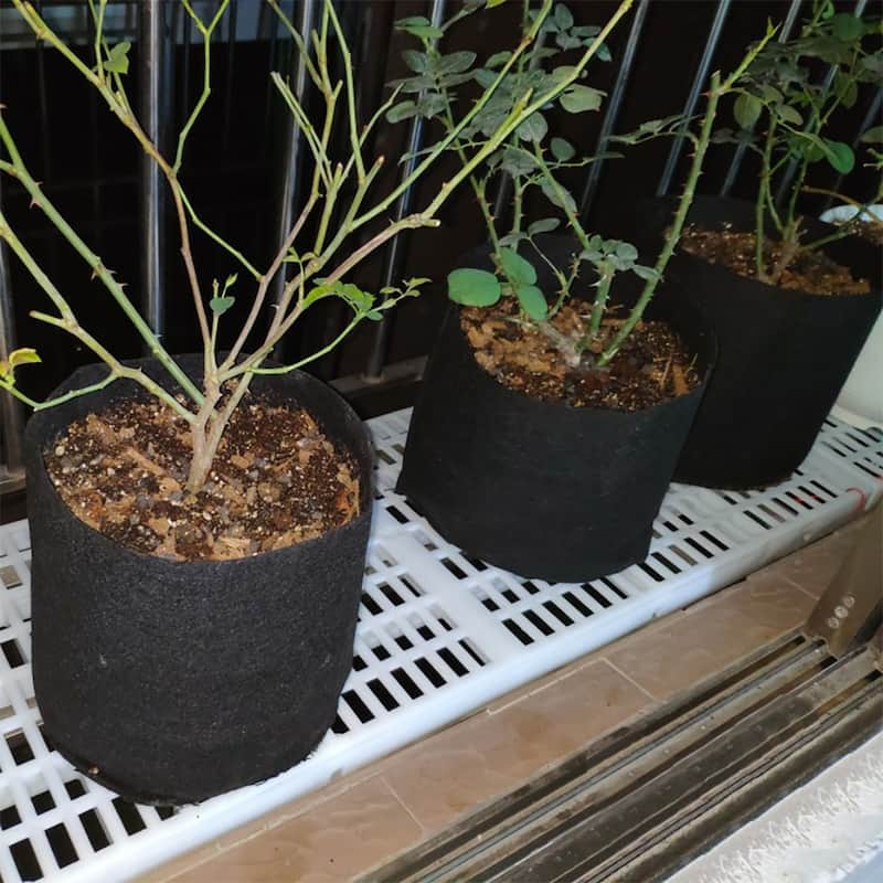 Agfabric grow bag for Vegetables,3gal,5 Pack,Black