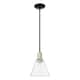 Option Black Antique Brass / Seedy
