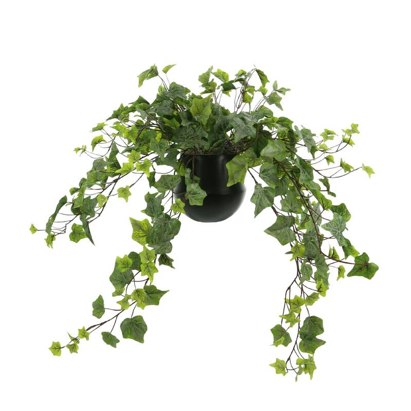 Trailing Ivy in a Ceramic Pot - Green