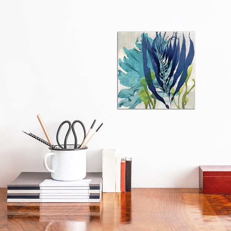 iCanvas "Sea Nature II" by Melonie Miller Canvas Print - 12x12x0.75