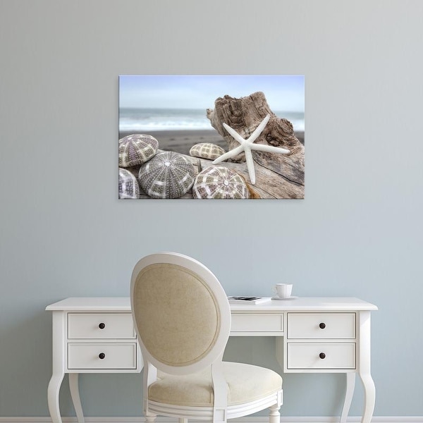Easy Art Prints Alan Blaustein's 'Crescent Beach Shells 5' Premium Canvas Art