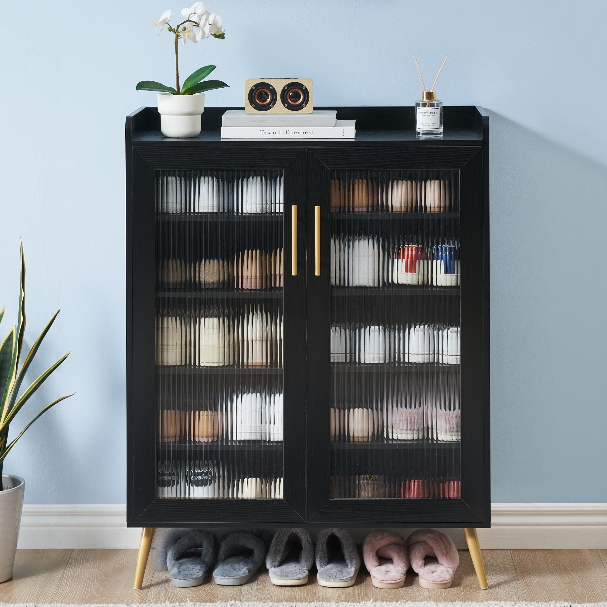 5-Tier Shoe Storage Cabinet with Glass Doors