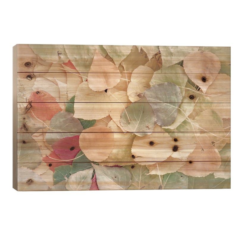 Fallen Leaves Creamy Print On Wood by Nik Rave - Multi-Color - 26x40x1.5