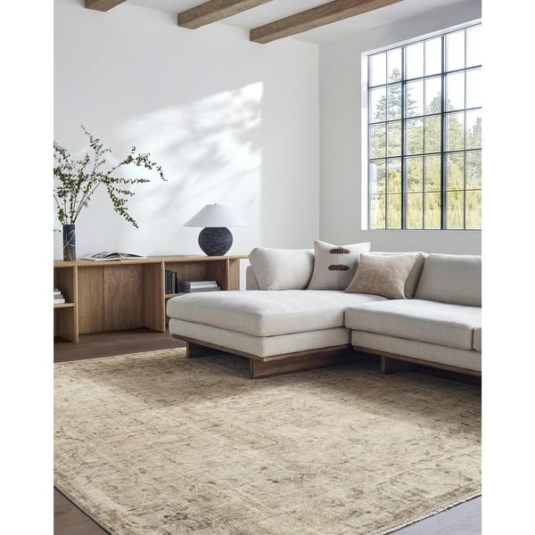 slide 2 of 10, Galey Alix x Livabliss Fetscher I Vintage Medallion Area Rug Light Beige - 5' x 7' 6"