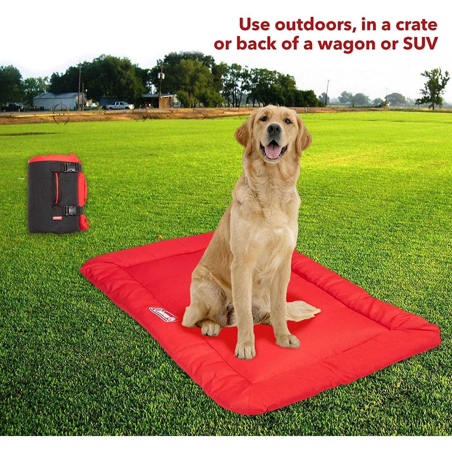 Coleman Large Dog Bed for Travel, Roll Up Foldable Packable Pet