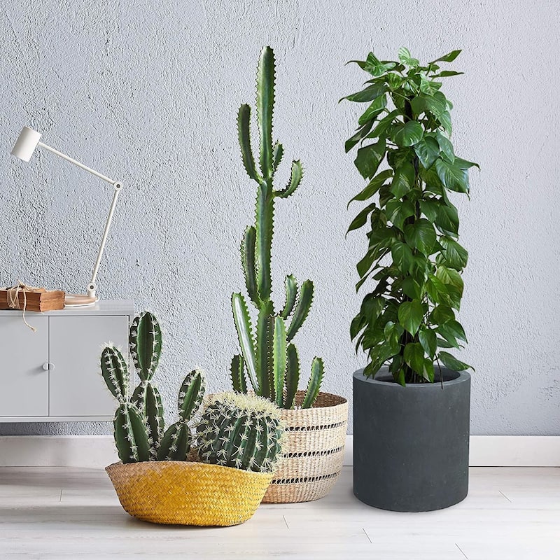 Kante Concrete Outdoor Modern Cylindrical Planter, 15.8 Inch Tall, Charcoal