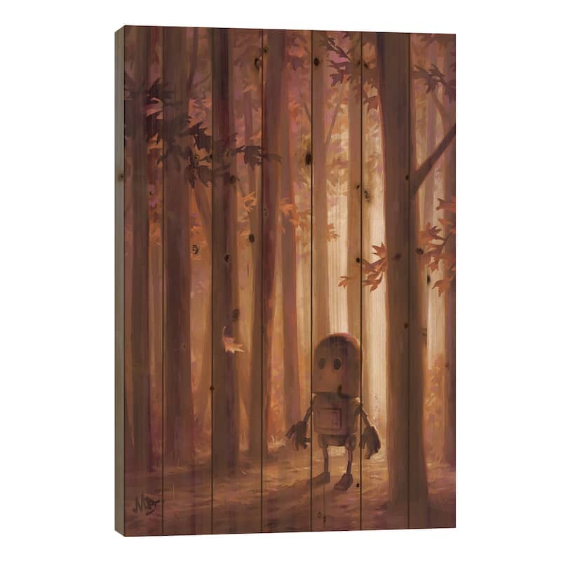 Threshold Print On Wood by Matt Dixon - Multi-Color - 26x18x1.5
