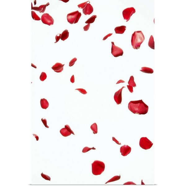 "Petal of red roses" Poster Print