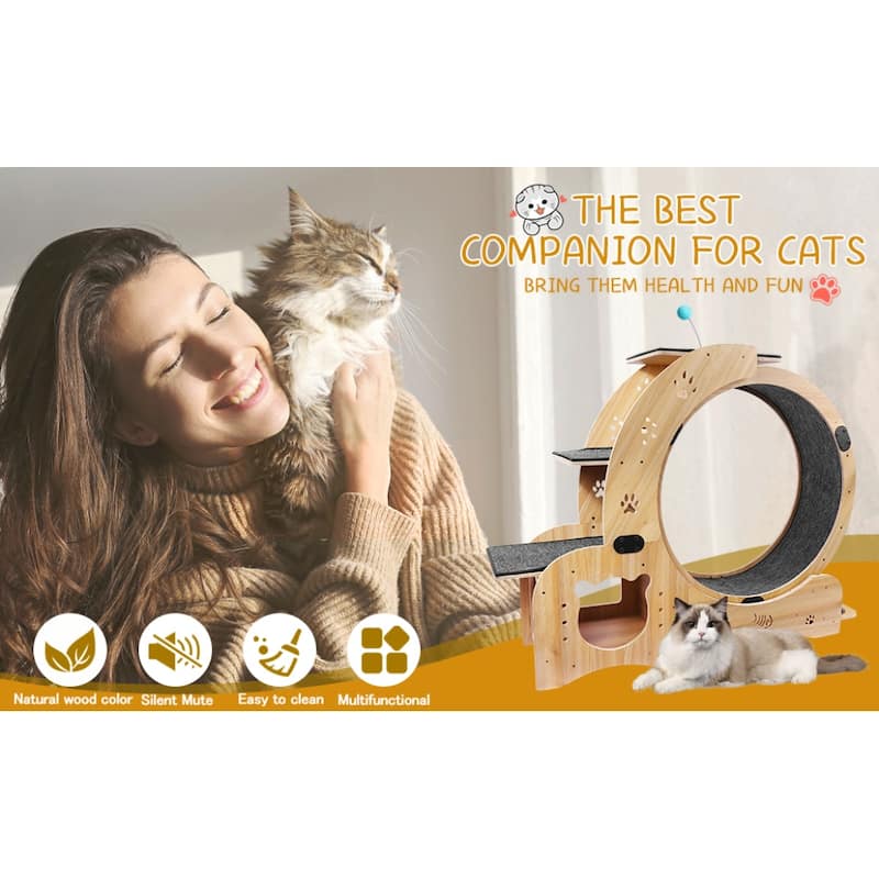Large 4-in-1 Cat Wheel Exerciser Cat Treadmill with Silent Wheel