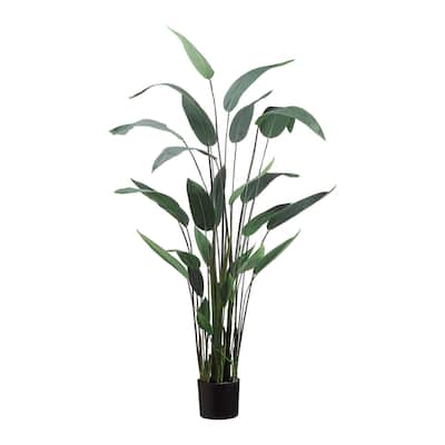 5.5 ft Water Canna Plant with Plastic Filler - Green