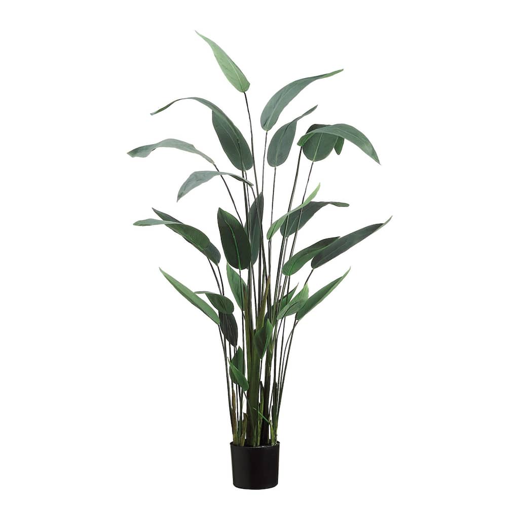 5.5 ft Water Canna Plant with Plastic Filler - Green