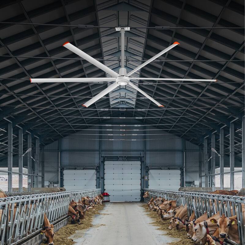 12ft HVLS Commercial 144" Ceiling Fan without Light with 6 Aluminum Blades