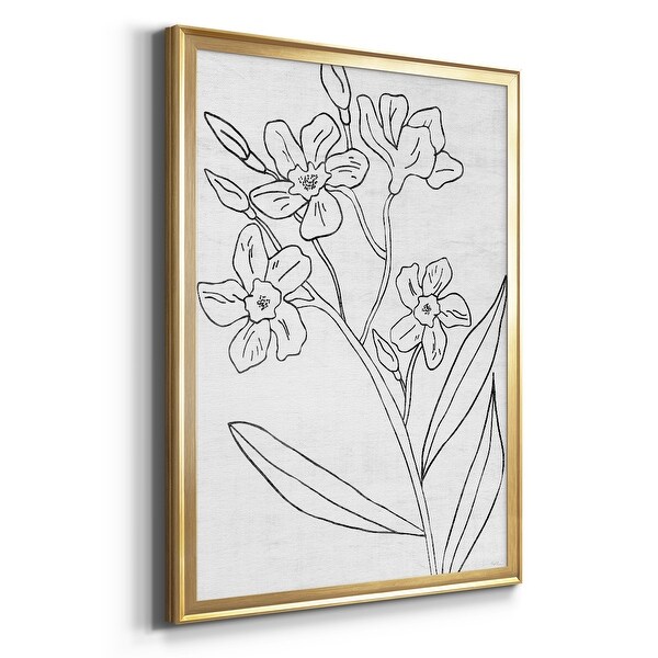 Botanical Sketch II Premium Framed Print - Ready to Hang - Bed