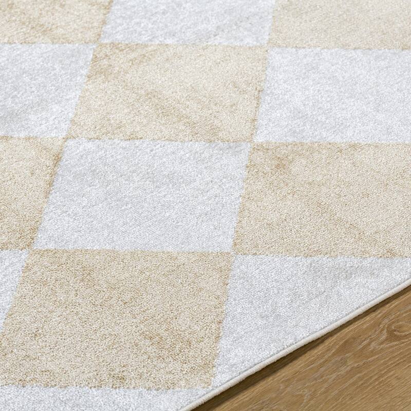 Livabliss Lillian Modern & Contemporary Checkered Indoor/Outdoor Area Rug