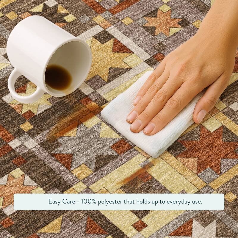 Machine Washable Indoor/ Outdoor Global Goddard Chantille Rug