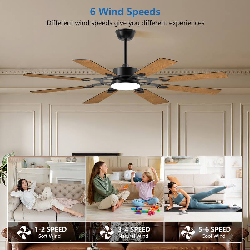 60 Inch Ceiling Fan with Lights and Remote Control, 8 Plywood Blades, 6-Speed Noiseless Reversible DC Motor, 3CCT - Black
