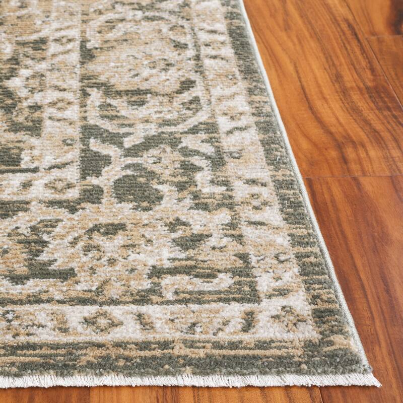 SAFAVIEH Hazel Aina Traditional Oriental Rug