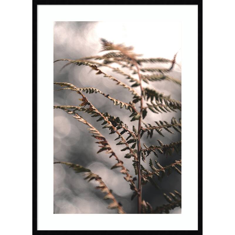 Autumn fern by Christina Sillen Wood Framed Wall Art Print
