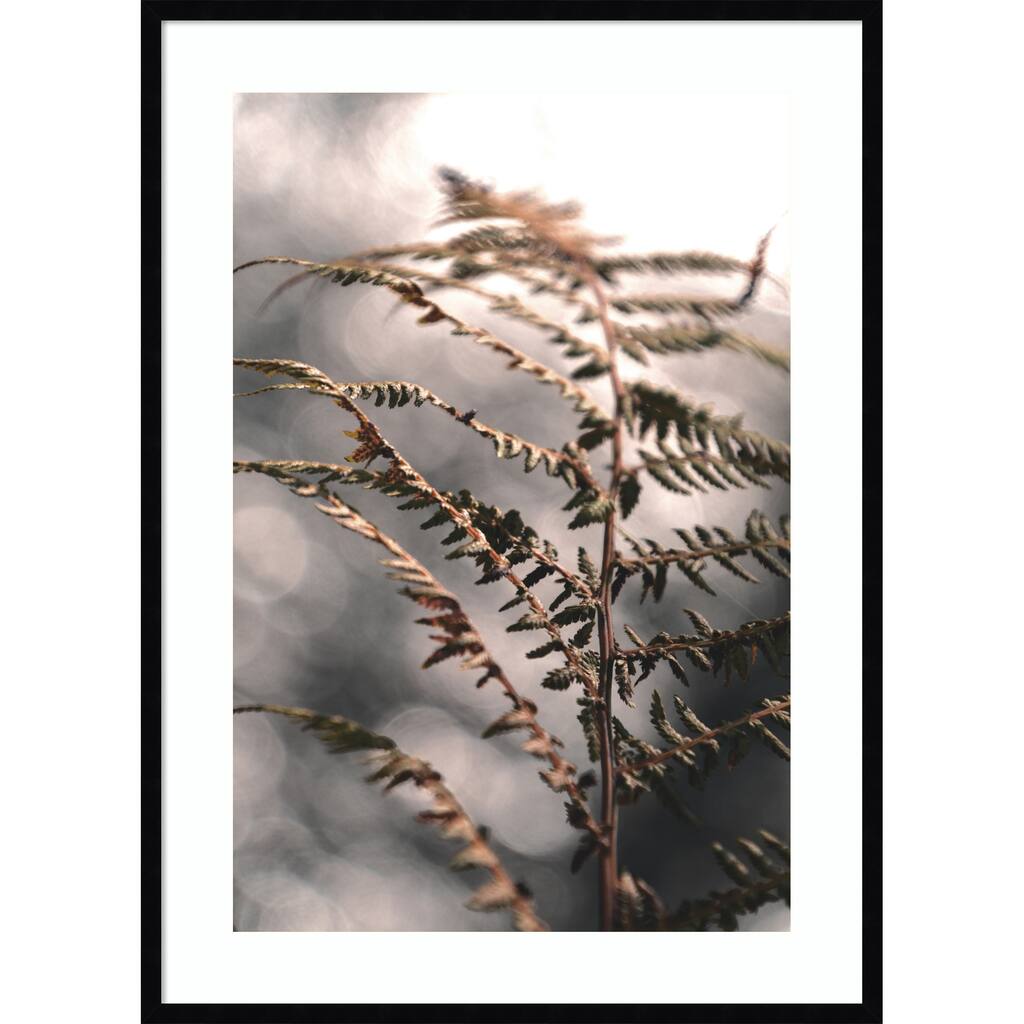 Autumn fern by Christina Sillen Wood Framed Wall Art Print