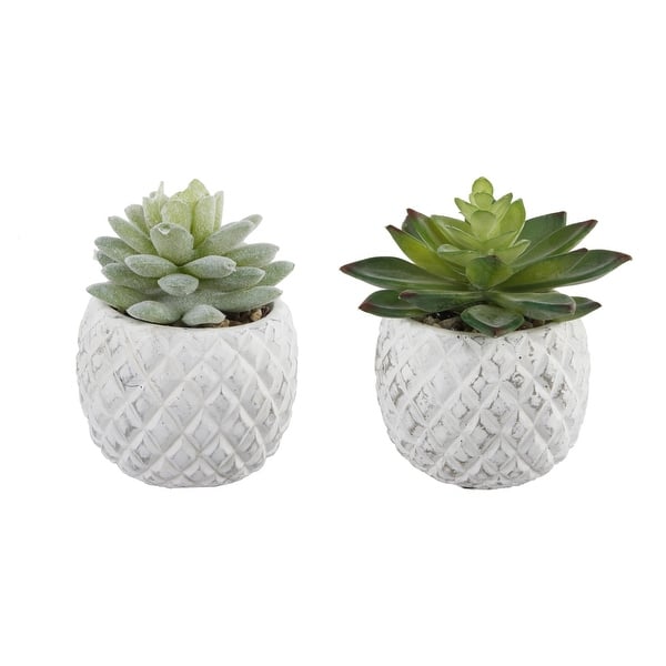 Flora Bunda Set OF 2 Pineapple Pot Succ