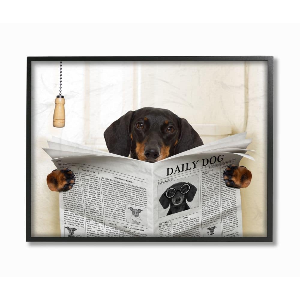 Stupell Dog On Toilet Newspaper Funny Animal Pet Design Framed Wall Art