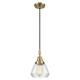 Option Antique Brass / Clear Shade