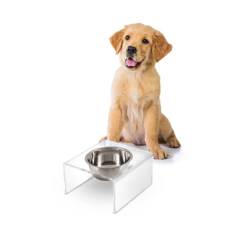 Keaton 5" Small/Medium Modern Lucite Rectangular Elevated Pet Feeder with 20oz 2-Stainless Steel Bowls - Clear/Chrome - Single