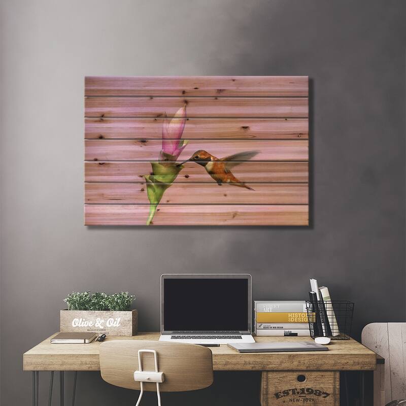 Rufous Hummingbird Male Feeding At Flower, Green Valley, Arizona Print On Wood by Tom Vezo - Multi-Color