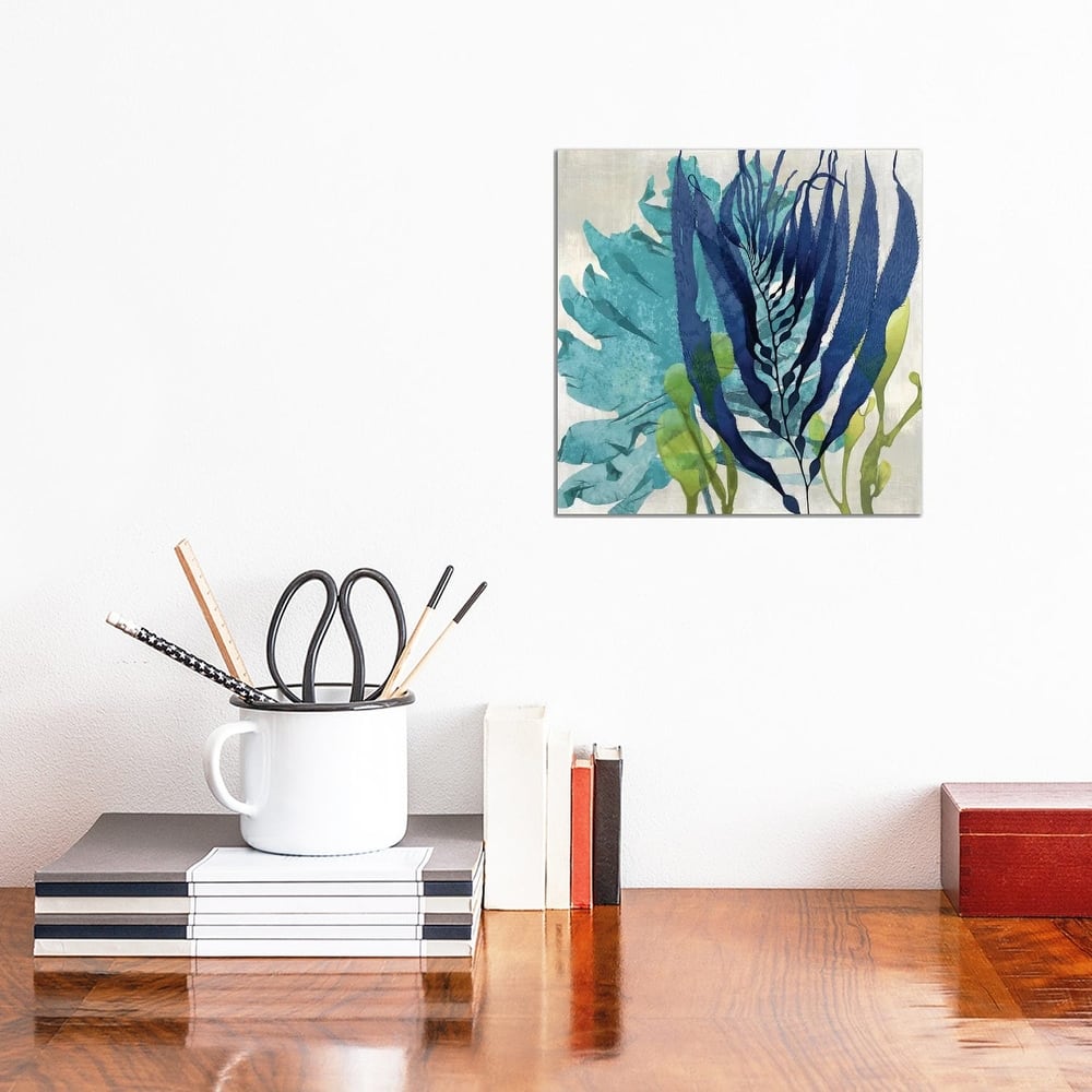 iCanvas "Sea Nature II" by Melonie Miller Canvas Print