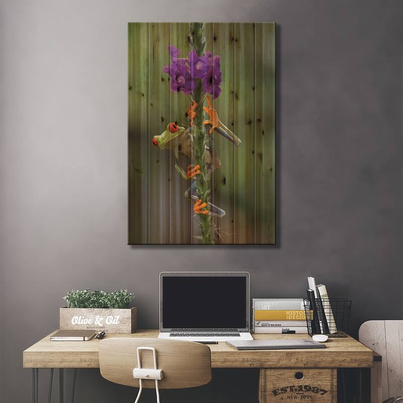 Red-Eyed Tree Frog Climbing On Flower, Costa Rica II Print On Wood by Tim Fitzharris - Multi-Color