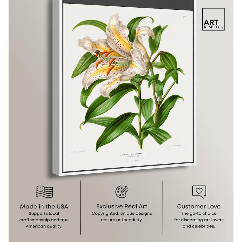Lilium Speciosum Imperiale Canvas by Art Remedy