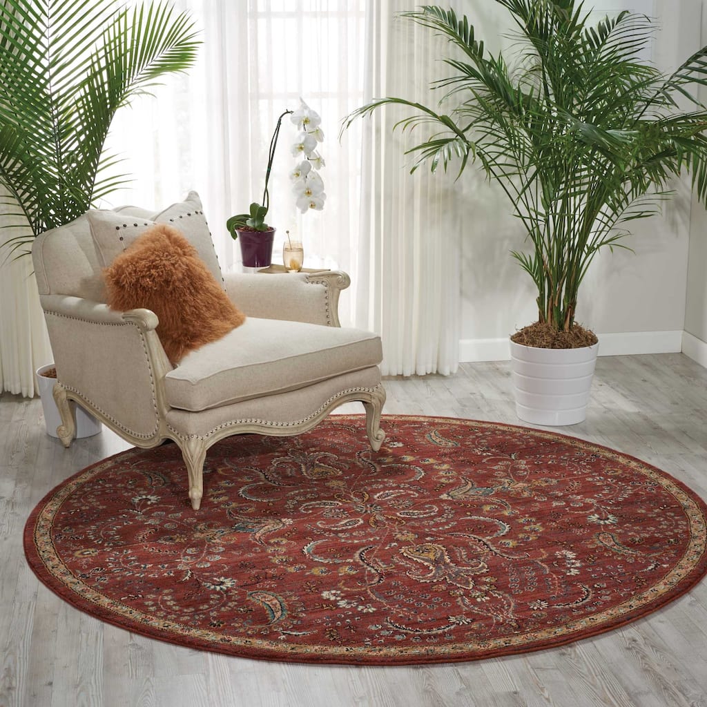 Nourison 2020 Traditional Floral Medallion Persian Pattern Area Rug