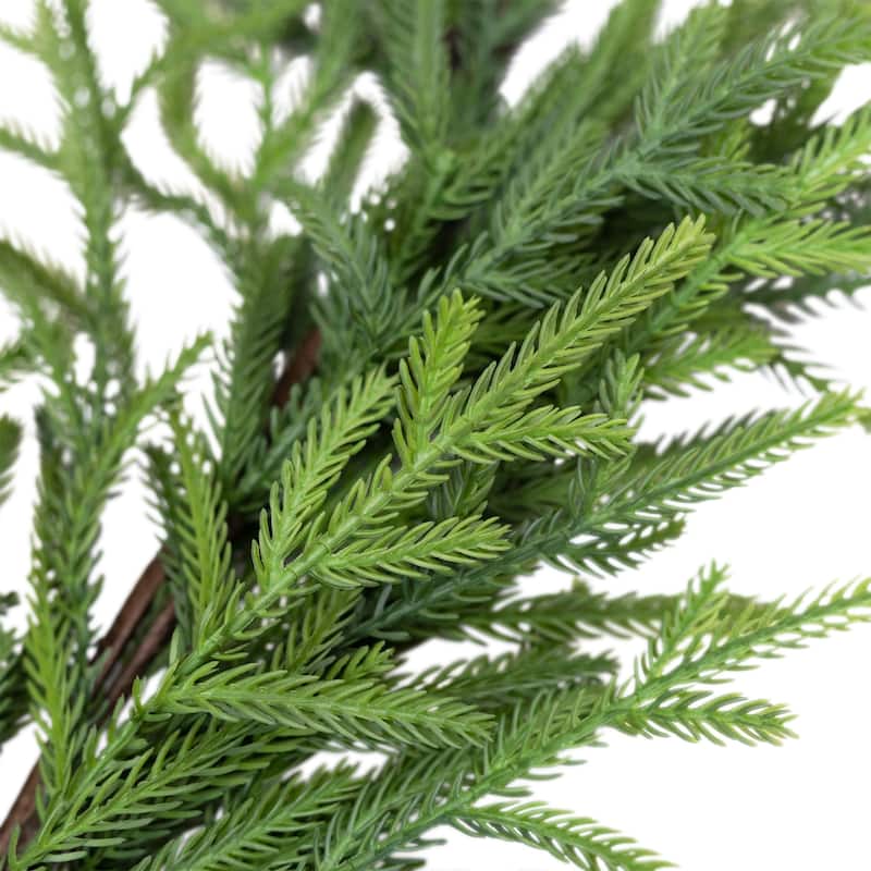 Norfolk Pine Artificial Christmas Garland - 6' x 10" - Unlit