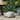 Irwington Outdoor Cast Stone Outdoor Turtle Garden Statue by Christopher Knight Home