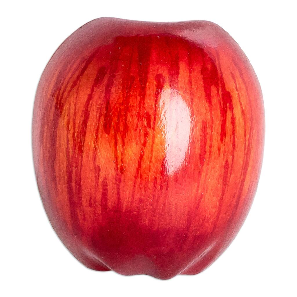 Novica Handmade Guatemalan Apple Wood Magnet