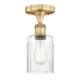 Option Clear / Brushed Brass
