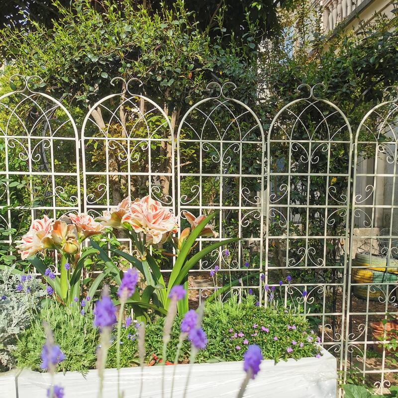2 Pack Metal Garden Rustproof Trellis for Climbing Plants
