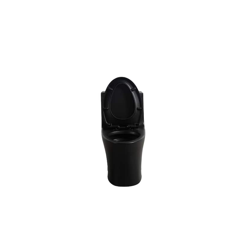 Matte Black One-Piece Toilet