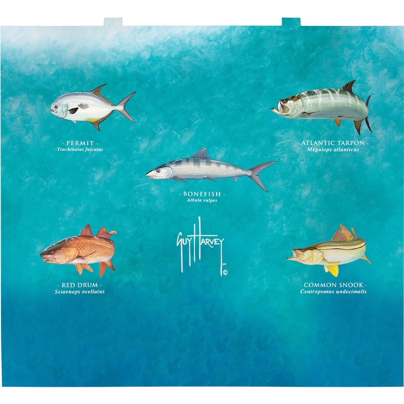 Tervis Guy Harvey Charts Made in USA Double Walled Insulated Travel Tumbler, Classic - 24oz Venture Lite Water Bottle