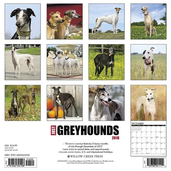 Shop Just Greyhounds Wall Calendar Greyhound By Willow Creek