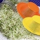 preview thumbnail 5 of 4, Sprouting Lids for Jar, Stainless Steel Wide Mouth Cap Lids Mesh - Yellow - 70x16mm