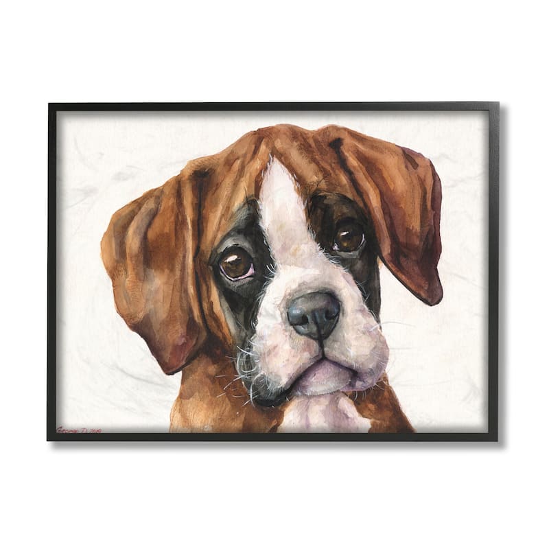 Stupell Puppy Eyes Boxer Dog Pet Portrait Brown White Framed Wall Art - 24 x 30 - Black
